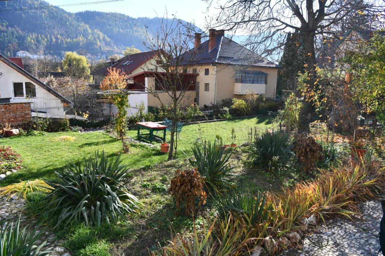 Magic House Brasov Διαμέρισμα Εξωτερικό φωτογραφία